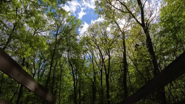 POV first-person view of a thrilling bobsled ride down a track through a lush green forest in Miskolctapolca, Hungary.