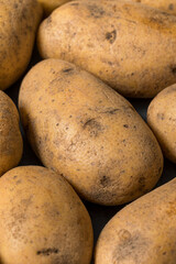Raw Organic Brown Russet Potatoes