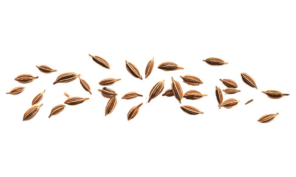 Cumin seeds close up, caraway grains isolated on white background, side view, vector illustration, spice seeds, culinary herbs, aromatic spices, cooking ingredients, herbaceous plants.