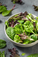 Organic Raw Green Spring Lettuce Mix