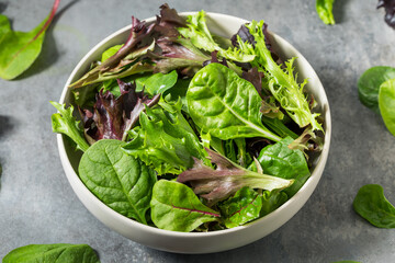 Organic Raw Green Spring Lettuce Mix