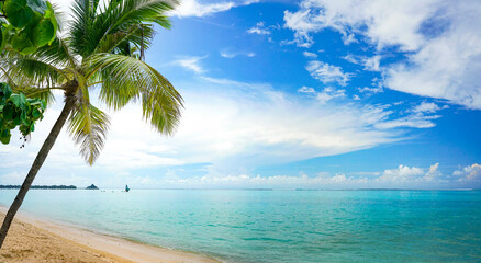 Beautiful tropical beach with golden sand, palm tree, turquoise ocean against blue sky with clouds on a sunny summer day. Perfect landscape background for a relaxing vacation.