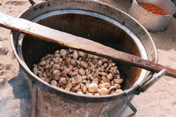Pot of mushrooms cooking outdoors over an open flame during traditional food preparation
