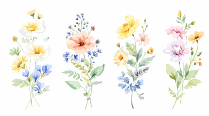 Set of floral bouquet isolated on white background with classical and tropical flowers