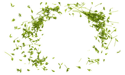 Top view dry chive frame isolated, white background, vector illustration, fresh herb frame, chive plant, cooking ingredient, kitchen decor, botanical drawing, vegetable vector art.