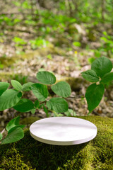 Podium or pedestal on mossy ground in a lush forest, perfect for displaying products in a natural setting during daylight