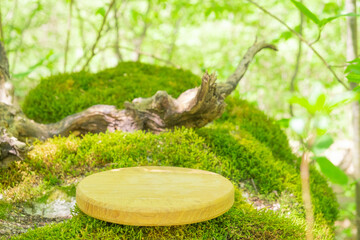 Wooden podium mock up on mossy ground in tranquil forest setting surrounded by greenery