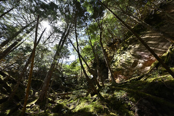 Climbing Mount Mizugaki, Yamanashi, Japan