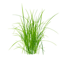 Green grass on white background, vector illustration, fresh texture, outdoor nature, clean background, garden grass, natural environment, eco-friendly lawn, summer vibes.