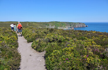 GR 34 le sentier des douaniers en Bretagne en France : de Fr&eacute;hel &agrave; Plurien (Cap Fr&eacute;hel, Sables d'Or les Pins, baie de la Fresnaye)