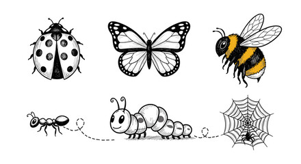 Obraz premium Illustration of a ladybug, butterfly, bee, ant, caterpillar, and spider web on a white background
