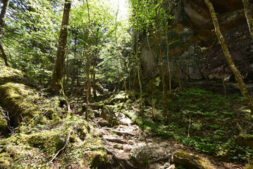 Climbing Mount Mizugaki, Yamanashi, Japan