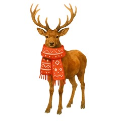 Freehand watercolor christmas deer illustration isolated on white background. Hand drawn watercolour reindeer.	
