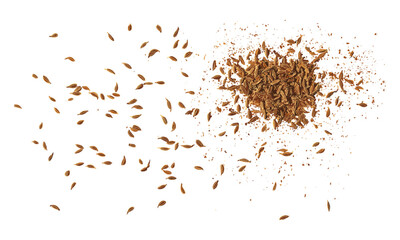 Ground cumin and caraway scattered on white, isolated seeds, cumin spice vector illustration, kitchen herbs, cooking ingredients, food seasonings, spices for cooking.