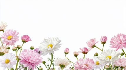 Beautiful floral arrangement featuring pink and white daisies, creating cheerful and vibrant atmosphere