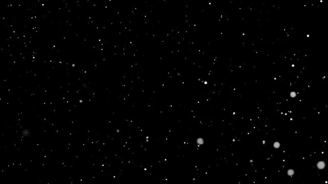 Scattered, small, white specks against a black background