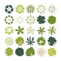 vector set top view of tree illustration isolated on white background.