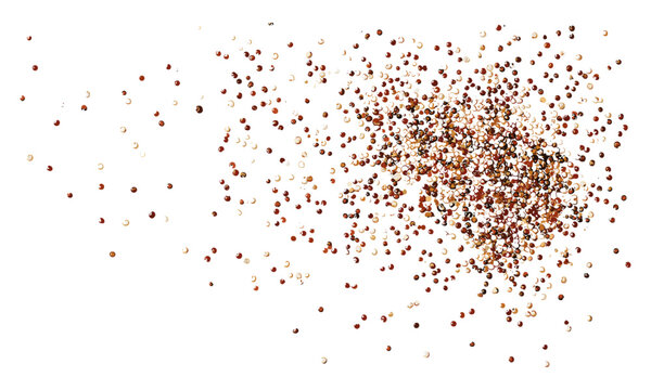 Top view of scattered raw quinoa seeds on white background, isolated food vector illustration, healthy seeds, organic grains, nutritious superfood, quinoa texture, raw food background.