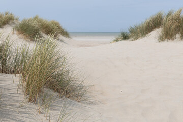 sand dunes on the beach