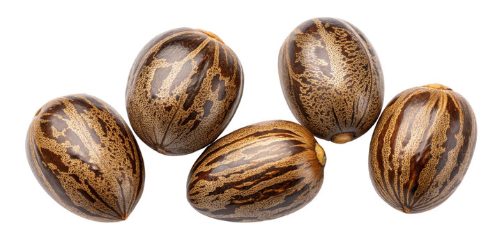 Four Castor Beans Isolated on Transparent Background, High-Resolution Image, Natural Product, Castor oil, Ricinus communis, seeds