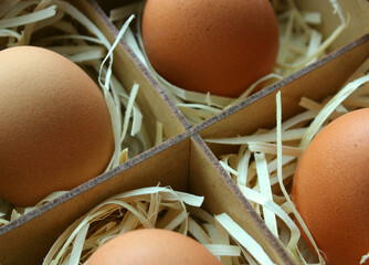 Domestic Eggs Wrapped with Wood Straws in a Plywood Container 
