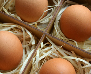 Raw Farm Eggs in a Shavings into Plywood Box with Compartments
