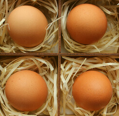 Box with wooden compartments lined with soft wooden straws for eggs storage
