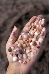 Vertical photo of a young woman's hand holding dozens of tiny seashells in various shapes and colors. A soft, tactile moment of beachcombing, connection with nature, and coastal beauty