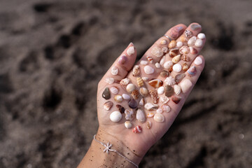 Close-up of a young woman's hand holding dozens of tiny seashells in various colors and shapes. A delicate moment of connection with nature, beachcombing, and ocean-inspired beauty