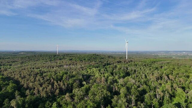 Wald mit Windkraftanlagen