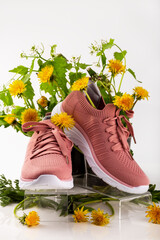 Pink sneakers surrounded by blooming dandelion flowers. Sneakers styled with natural floral...