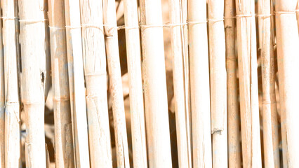 bamboo background texture