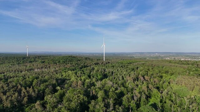 Wald mit Windkraftanlagen