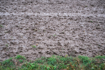 a muddy field after the rain