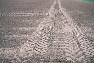 The dirt road is worn and has tire tracks in it