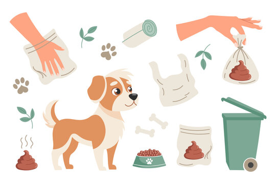 Clean up after your dog concept set. Pet care, environmental awareness and waste disposal. Illustration for social signs, pet products.