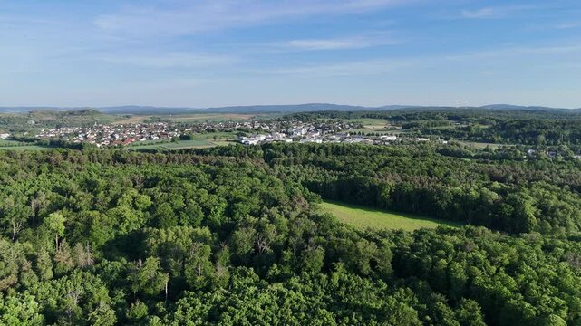 Flug &uuml;ber Wald bei Rossdorf