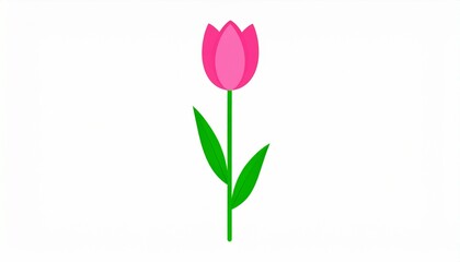 pink tulip flower illustration isolated on white background