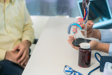 Male doctor talks to male patient and models the male urinary system and conditions such as enlarged prostate, prostatitis, cystitis.