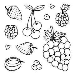 Lovely sketch set with summery and autumn fruit and berries. Hand drawn doodle of grape, strawberry, cherry for poster, design, social media, print. Healthy yummy food collection isolated on white.