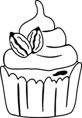Vector hand drawn muffin. Cupcake with nuts and cream. outline. Illustration in doodle style