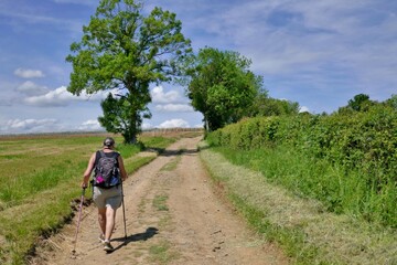 Jeune femme qui pratique la randonnée 