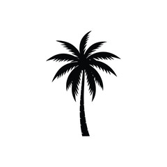 silhouette of palm trees
