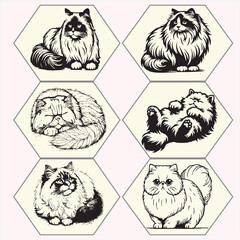 fluffy cat vector set of black and white