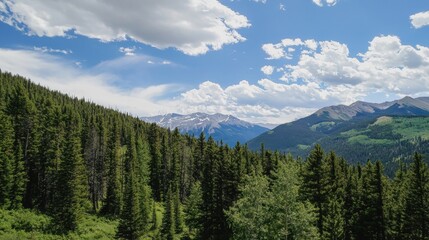 Fototapeta premium Rocky Mountain Vista Forest and Cloudscape Under a Bright Blue Sky on Sunny Day Offering Serene and Tranquil Natural