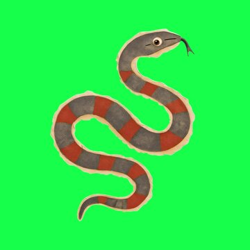 Colorful snake illustration animation, transparent 4K video, green screen