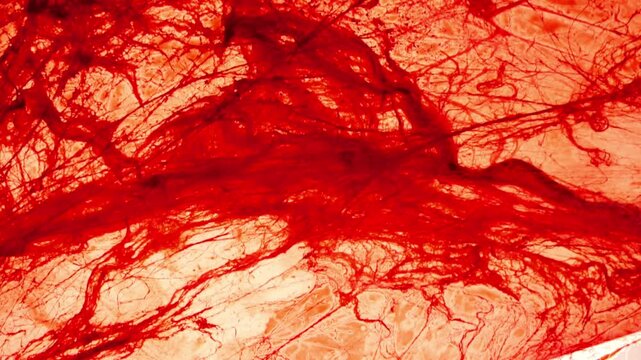Blood threads background. Hair in blood texture.True Crime Wallpaper. 4k footage