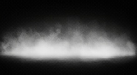 White and gray smoke mist gathering on stage floor, low-lying fog from a smoke machine, realistic smog effect, soft texture, isolated on transparent PNG background, ideal for concert or theater cutout
