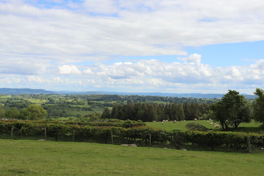 Hergest ridge in the UK