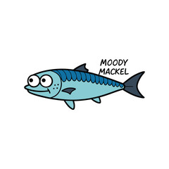 fish on a white background